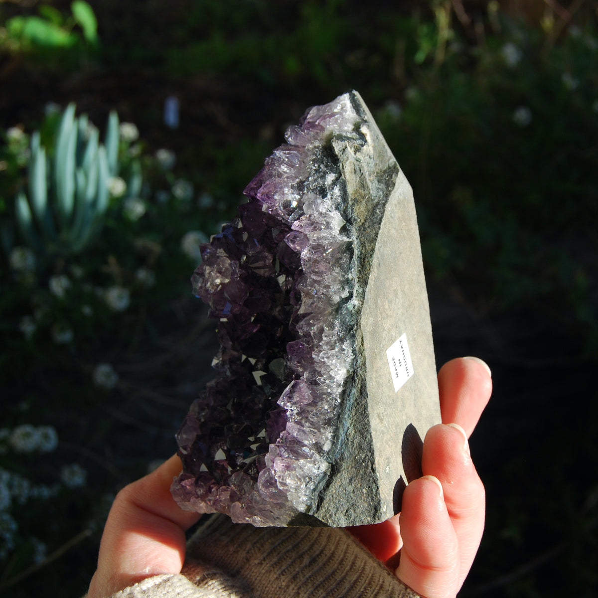 Amethyst Geode Crystal Cathedral Cluster Uruguay Self Standing