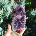 Amethyst Geode Crystal Cathedral Cluster Uruguay Self Standing