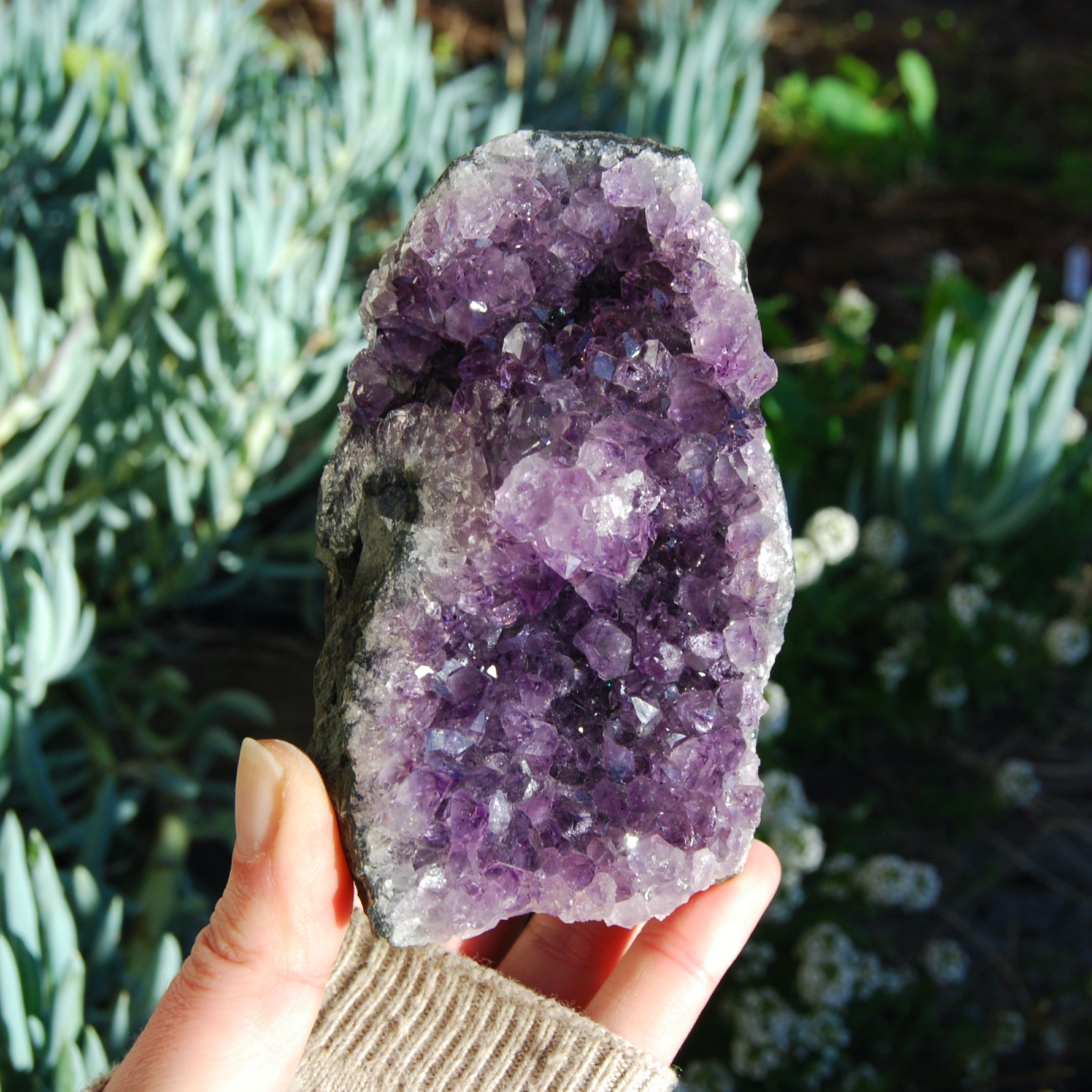 Amethyst Geode Crystal Cathedral Cluster Uruguay Self Standing