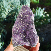 Load image into Gallery viewer, Amethyst Geode Crystal Cathedral Cluster Uruguay Self Standing
