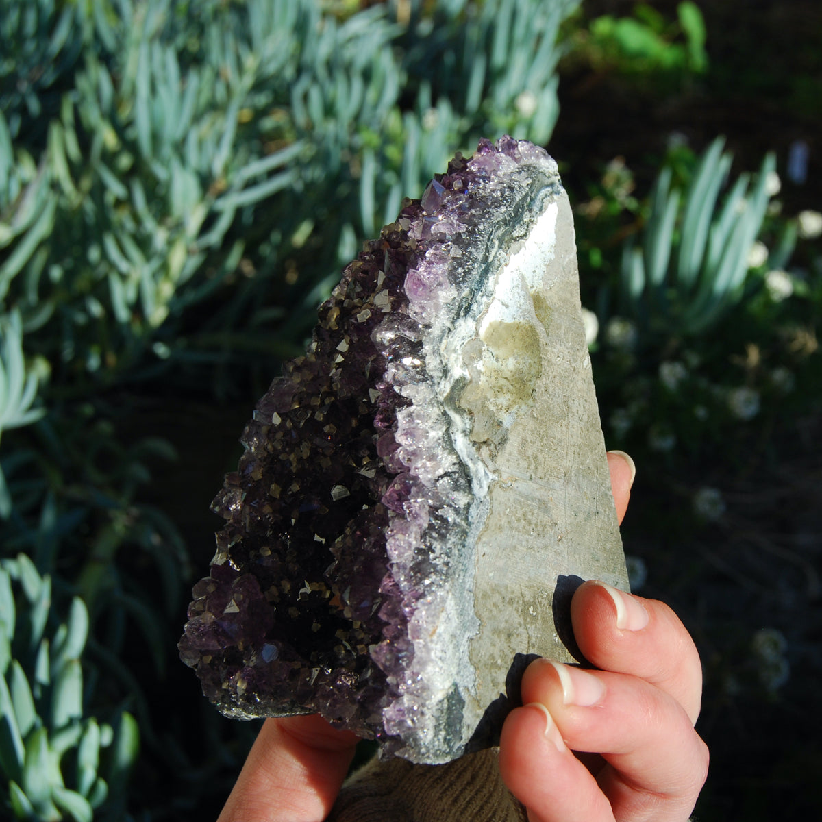 Amethyst Geode Crystal Cathedral Cluster Uruguay Self Standing