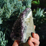 Amethyst Geode Crystal Cathedral Cluster Uruguay Self Standing