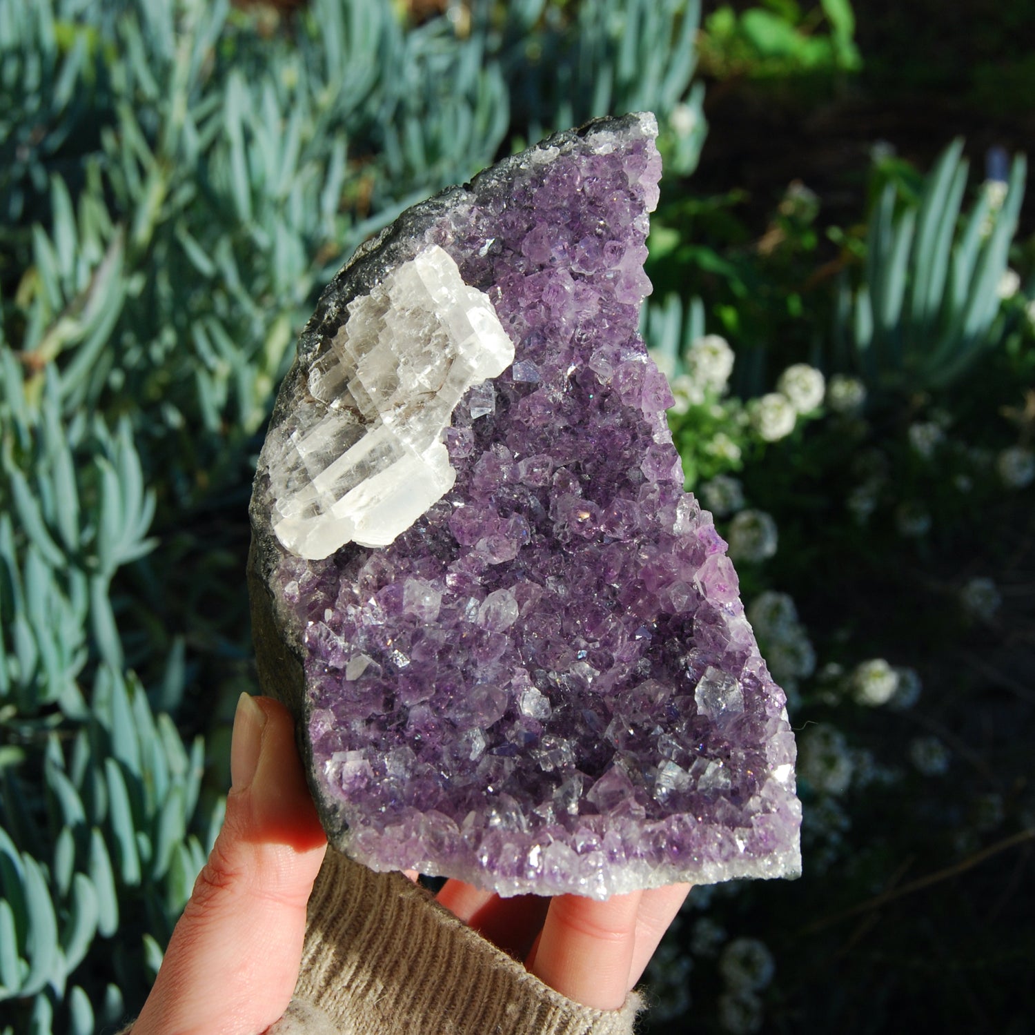Amethyst Geode Crystal Cathedral Cluster Uruguay Self Standing