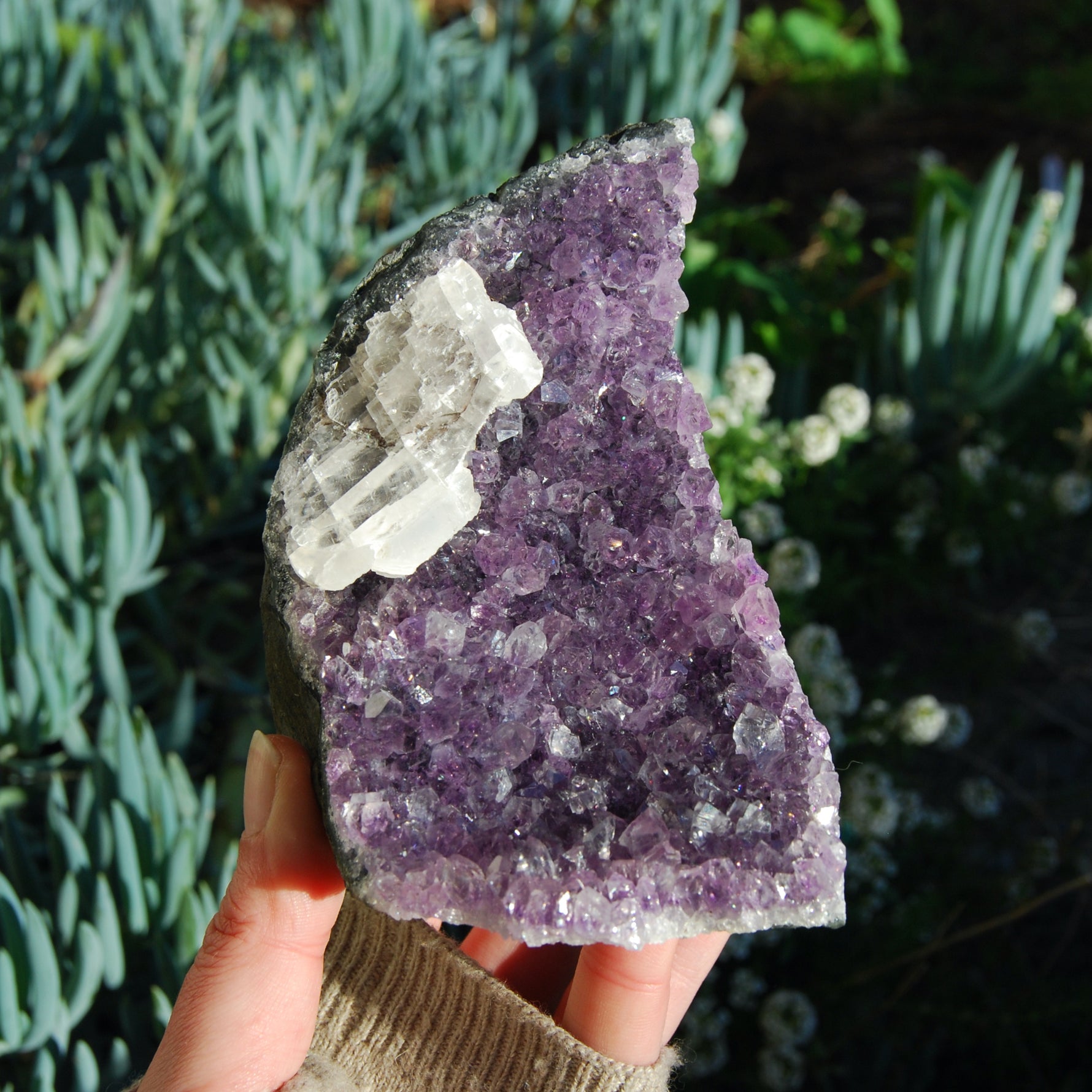 Amethyst Geode Crystal Cathedral Cluster Uruguay Self Standing