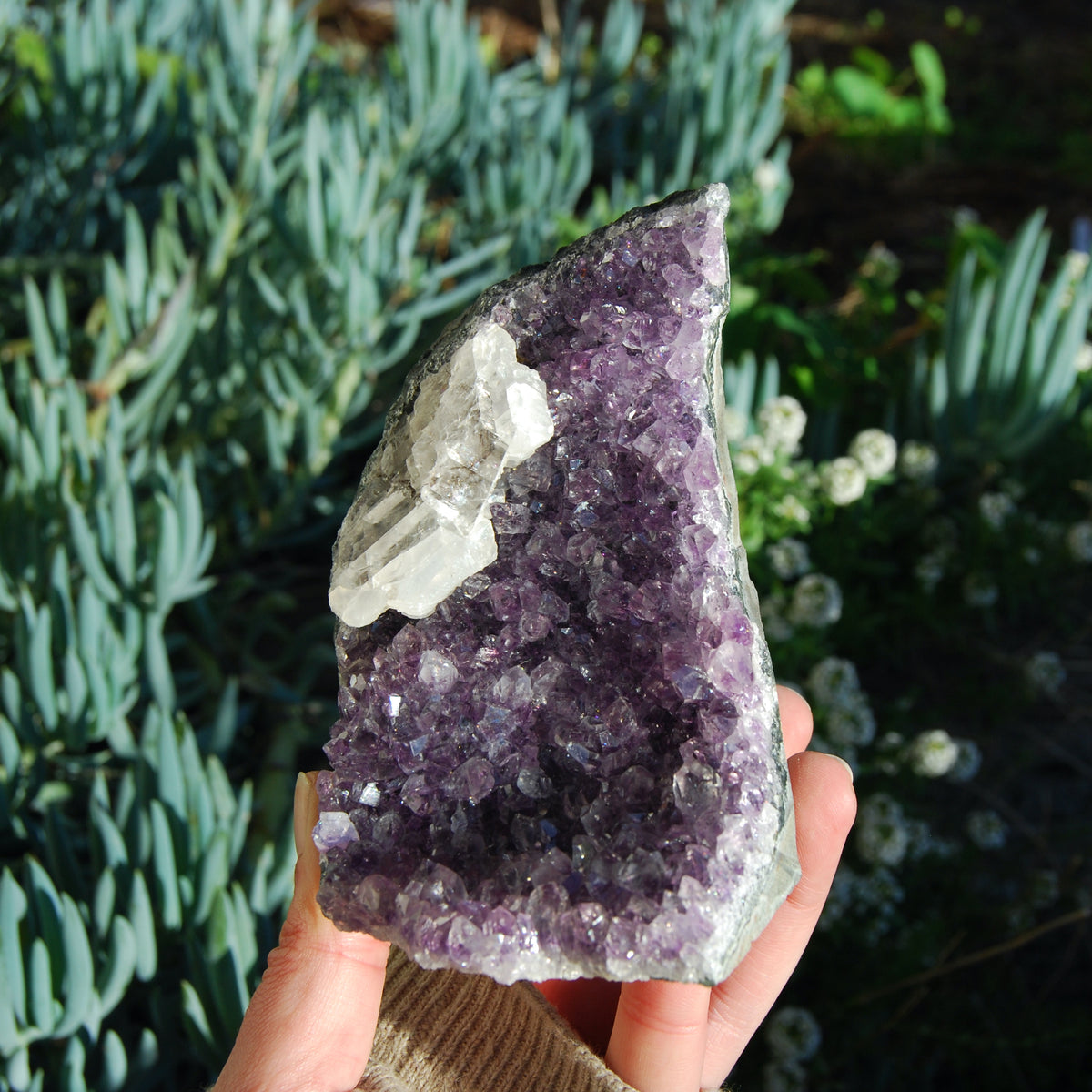 Amethyst Geode Crystal Cathedral Cluster Uruguay Self Standing