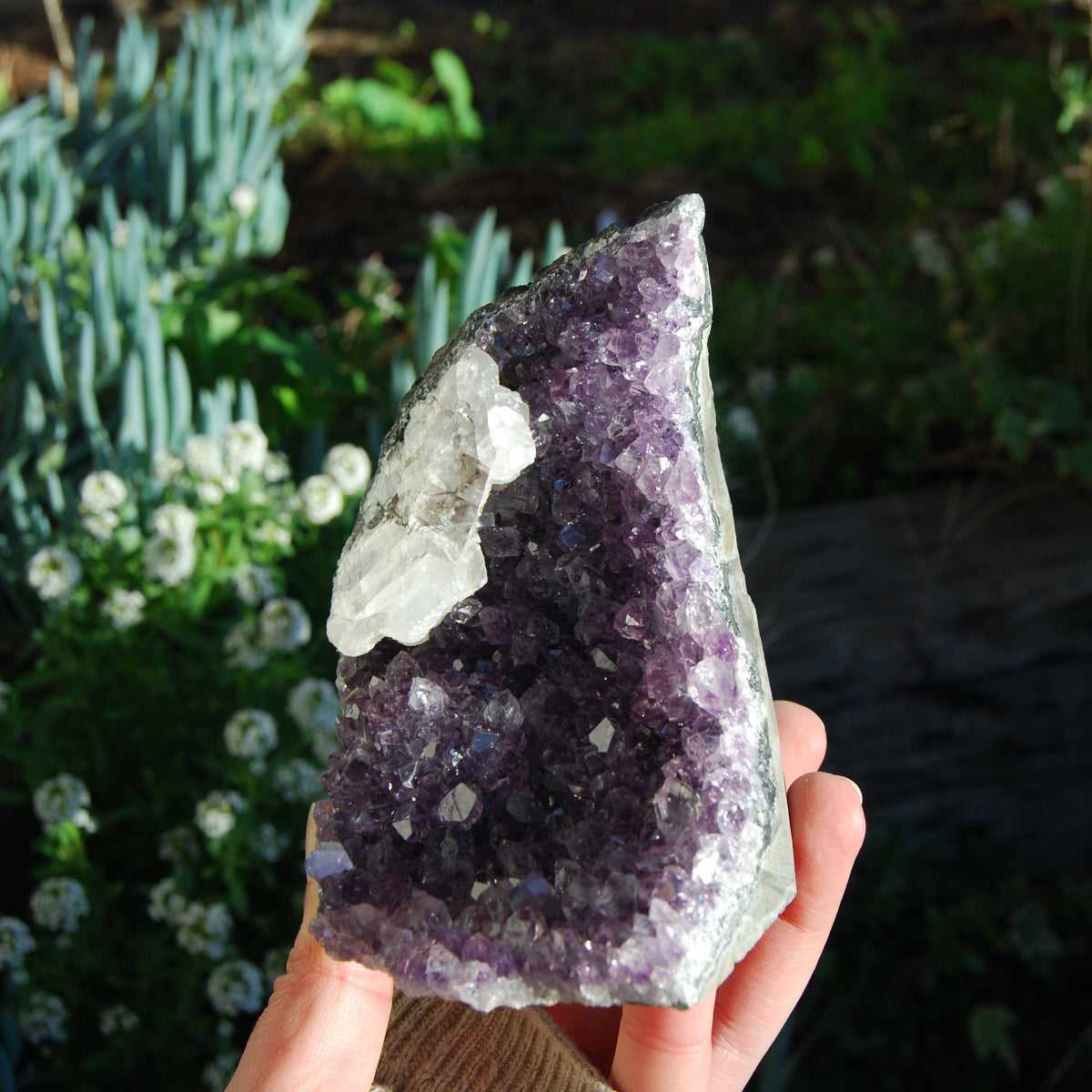 Amethyst Geode Crystal Cathedral Cluster Uruguay Self Standing