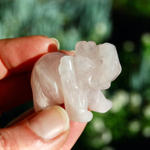 Rose Quartz Carved Crystal Elephant Totems 