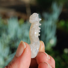 Load image into Gallery viewer, Sakura Flower Agate Carved Crystal Seahorse
