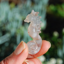 Load image into Gallery viewer, Sakura Flower Agate Carved Crystal Seahorse
