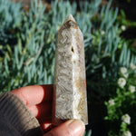 Crazy Lace Agate Crystal Tower