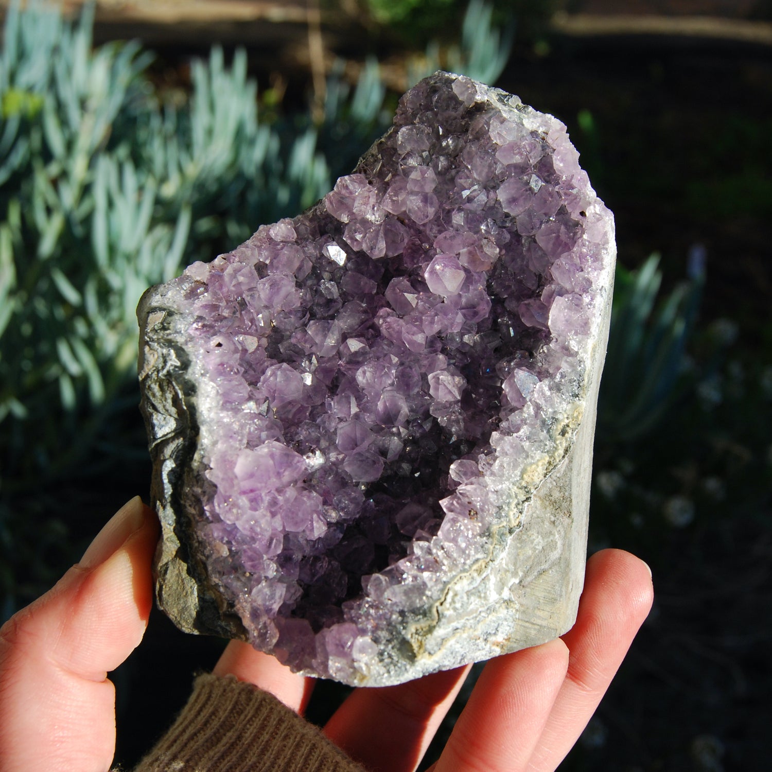 Amethyst Geode Crystal Cathedral Cluster Uruguay Self Standing