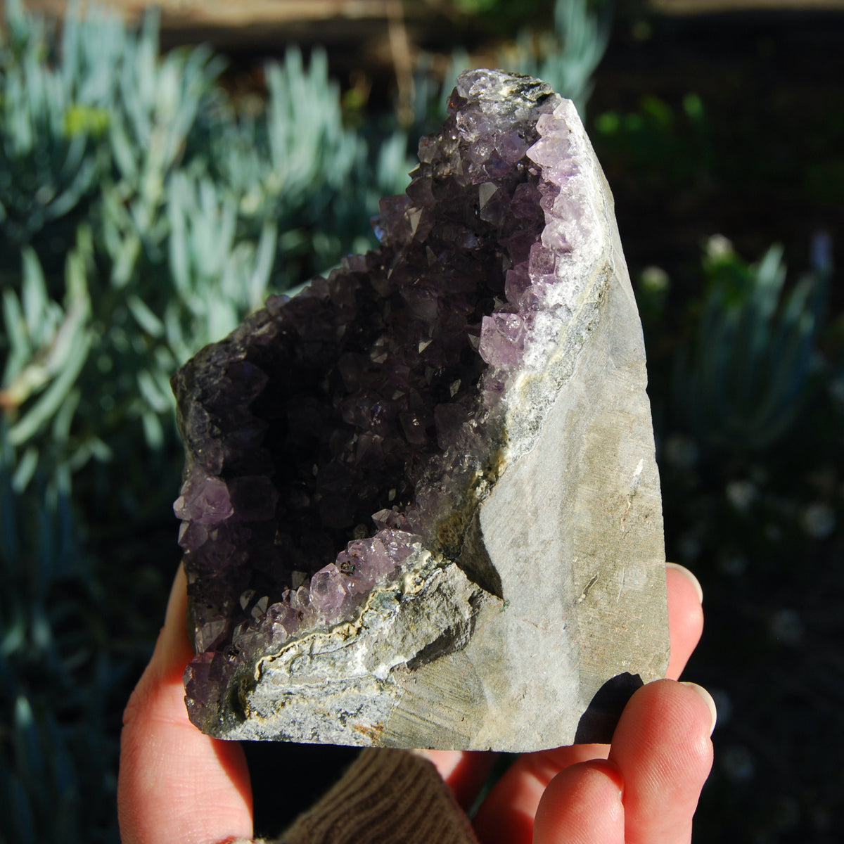 Amethyst Geode Crystal Cathedral Cluster Uruguay Self Standing