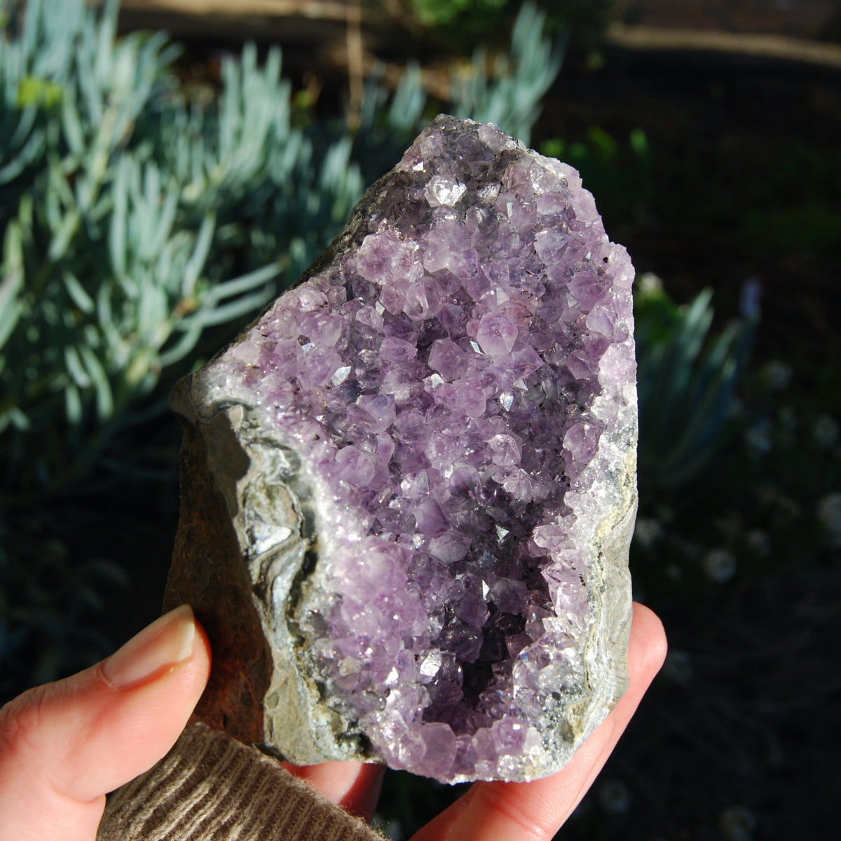 Amethyst Geode Crystal Cathedral Cluster Uruguay Self Standing