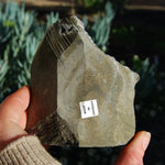 Amethyst Geode Crystal Cathedral Cluster Uruguay Self Standing
