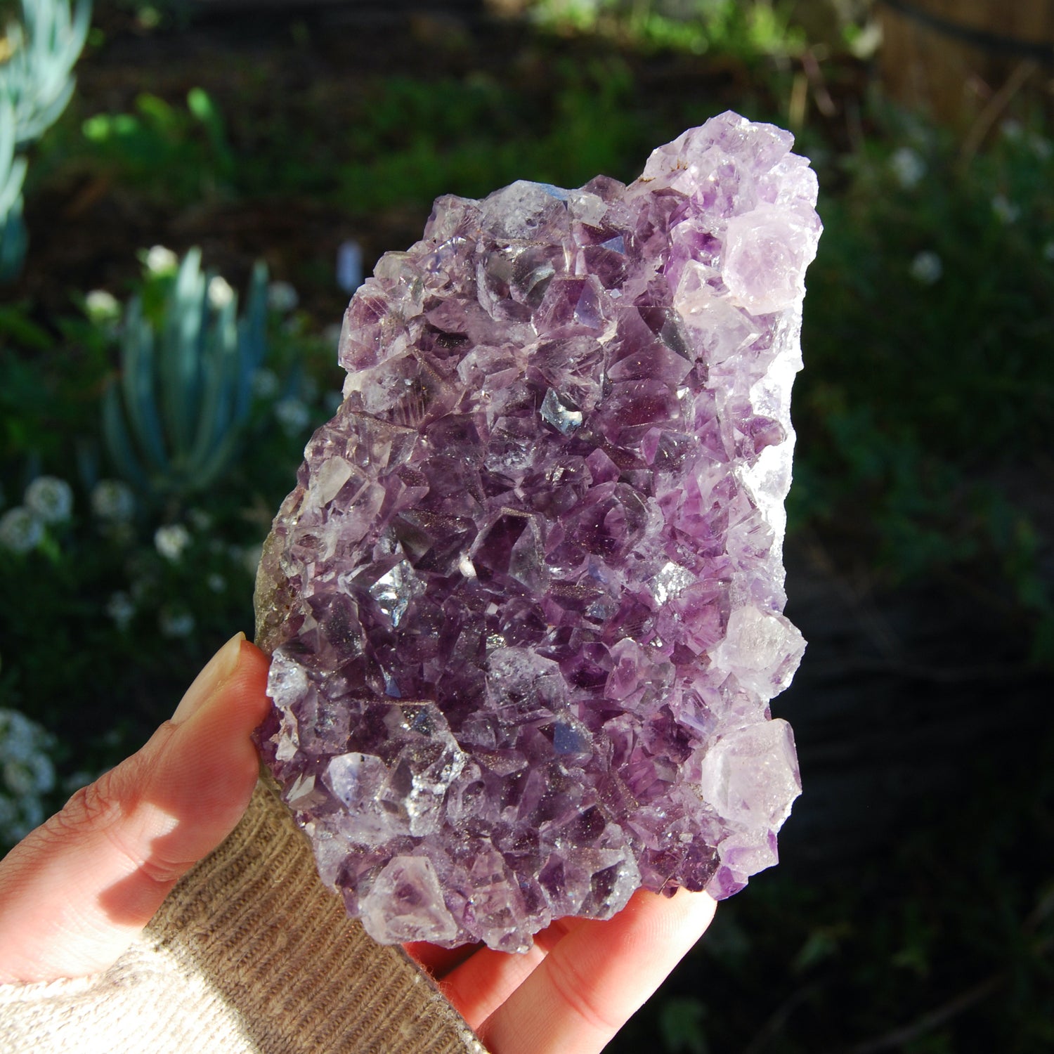 Amethyst Geode Crystal Cathedral Cluster Uruguay Self Standing
