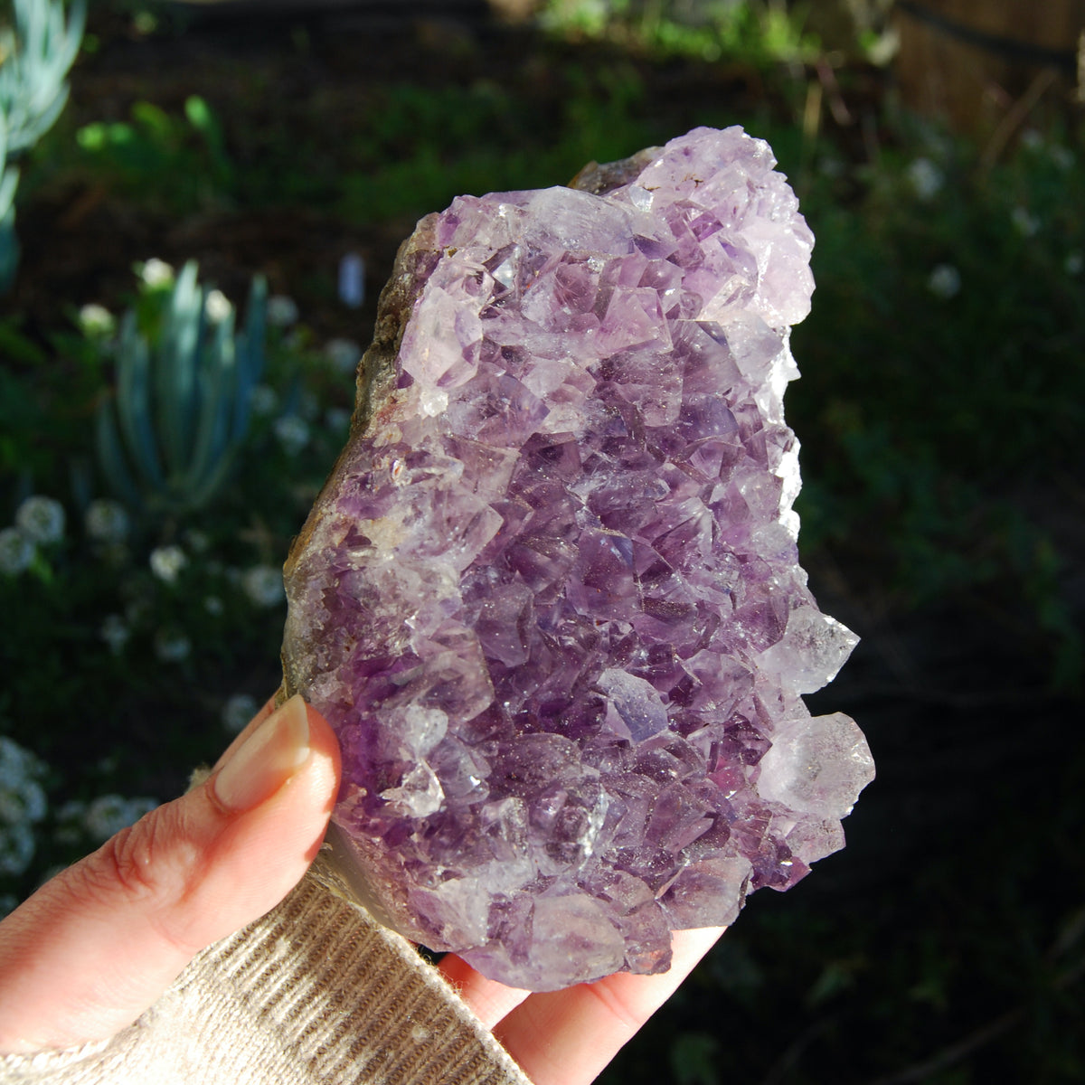 Amethyst Geode Crystal Cathedral Cluster Uruguay Self Standing