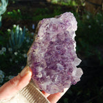 Amethyst Geode Crystal Cathedral Cluster Uruguay Self Standing