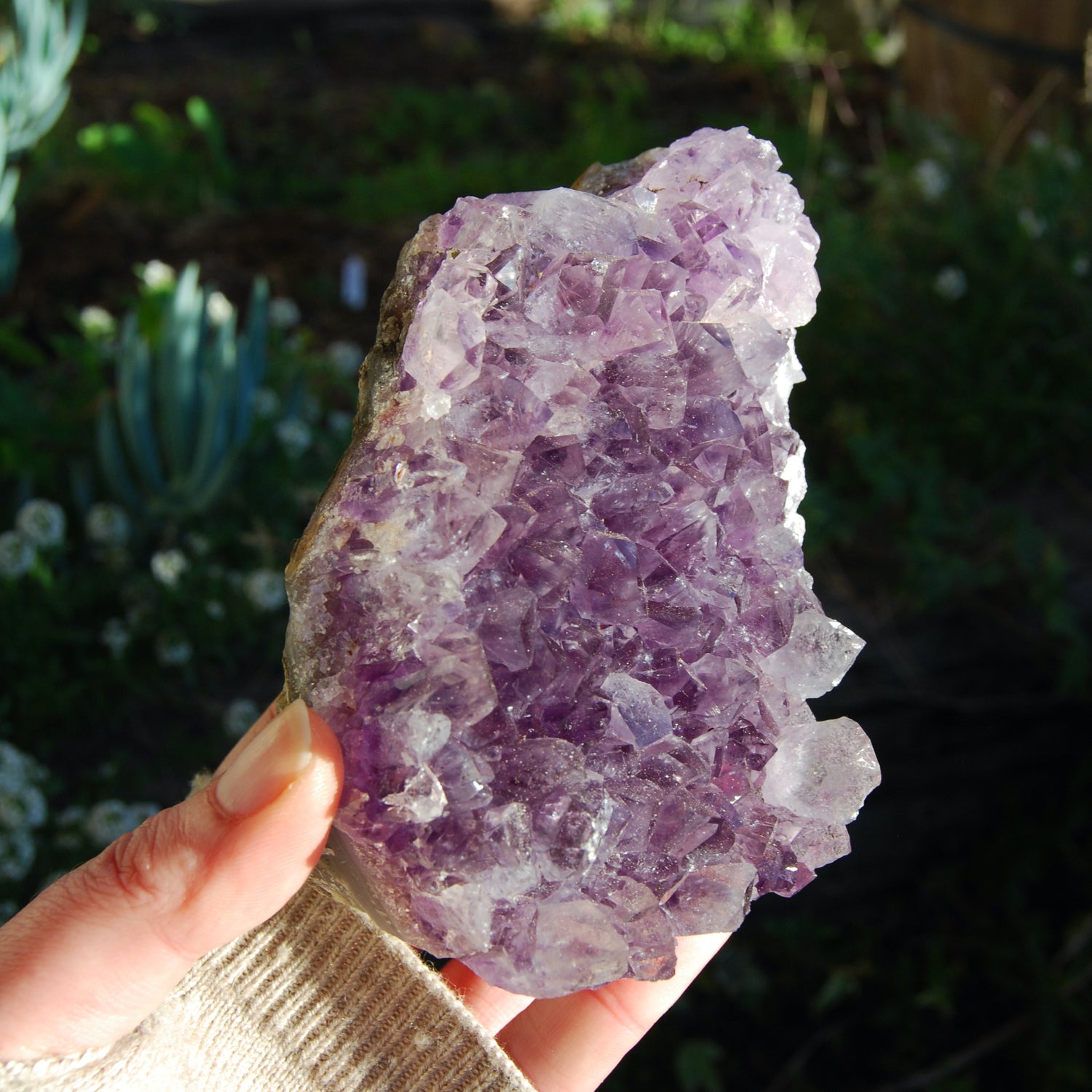 Amethyst Geode Crystal Cathedral Cluster Uruguay Self Standing
