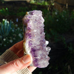 Amethyst Geode Crystal Cathedral Cluster Uruguay Self Standing