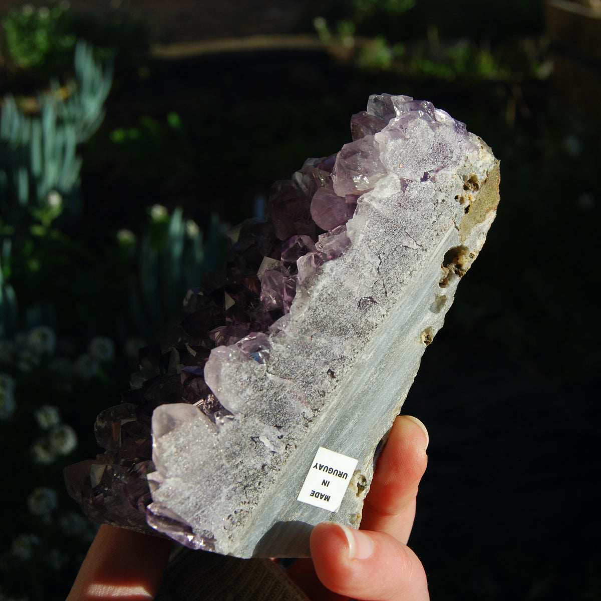 Amethyst Geode Crystal Cathedral Cluster Uruguay Self Standing