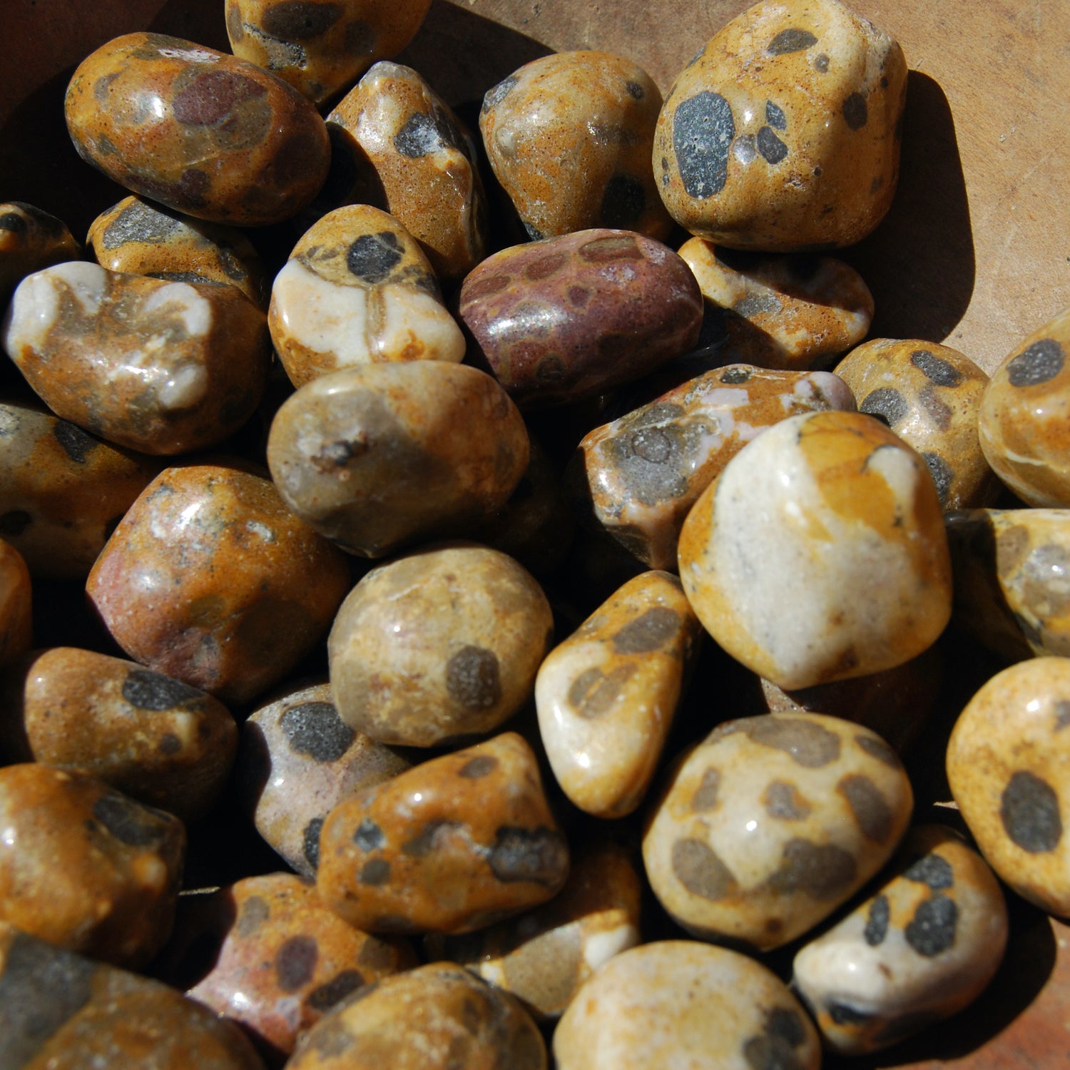Leopardskin Jasper Tumbled Stones