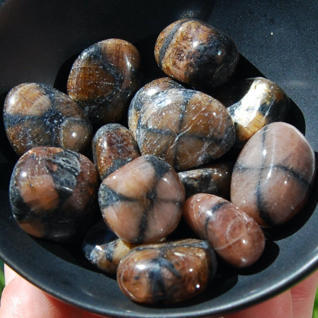 Chiastolite Tumbled Stones, Andalusite tumbled stones