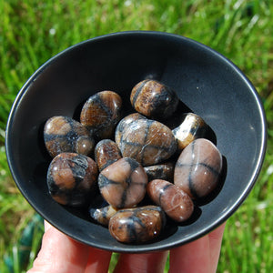 Chiastolite Tumbled Stones, Andalusite tumbled stones