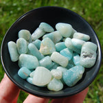 Amazonite Crystal Small Tumbled Stones 20 Piece Lot