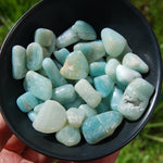 Amazonite Crystal Small Tumbled Stones 20 Piece Lot
