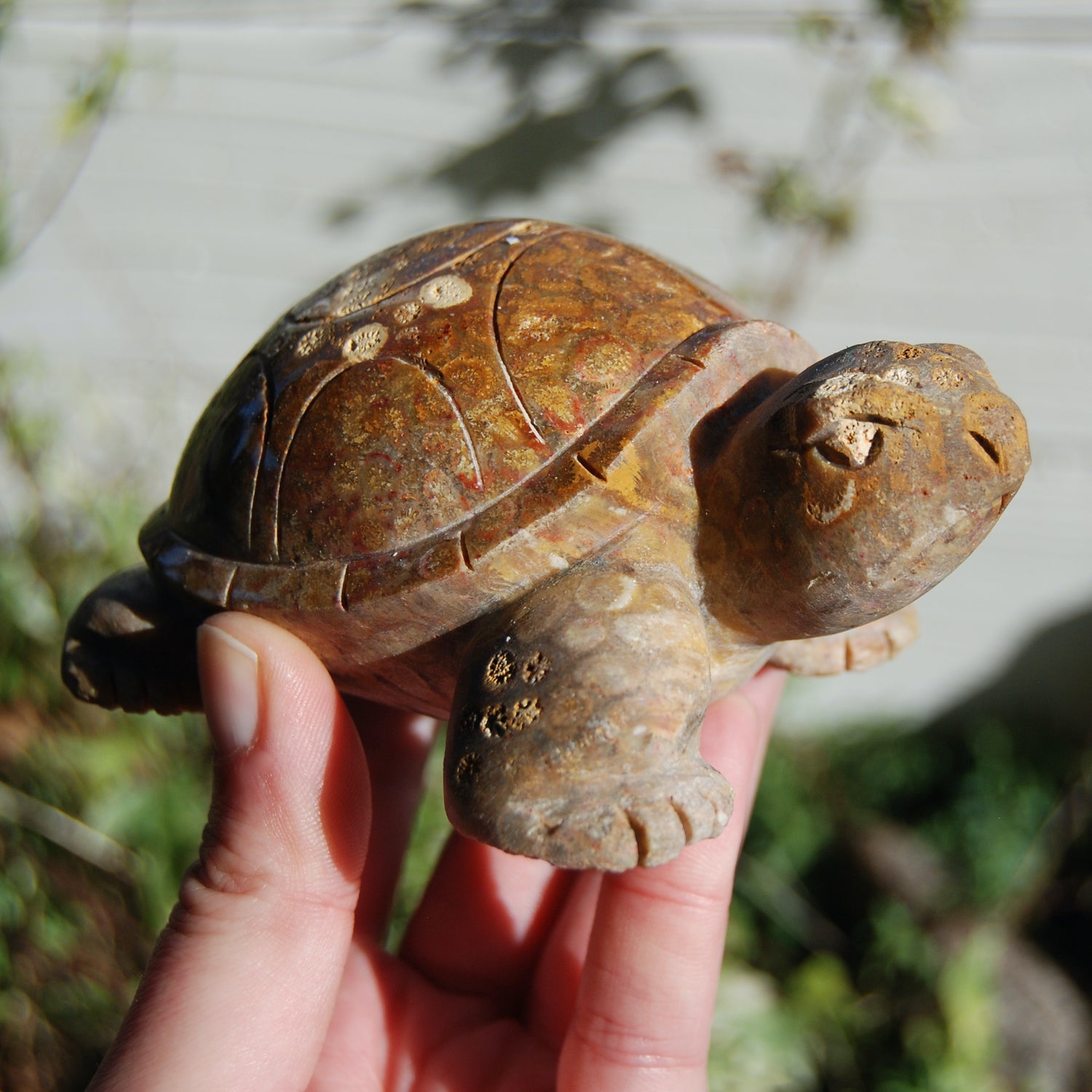 Master Carved Fossil Coral Crystal Turtle Realistic
