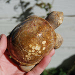 Master Carved Fossil Coral Crystal Turtle Realistic