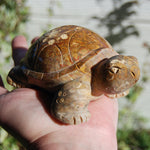 Master Carved Fossil Coral Crystal Turtle Realistic