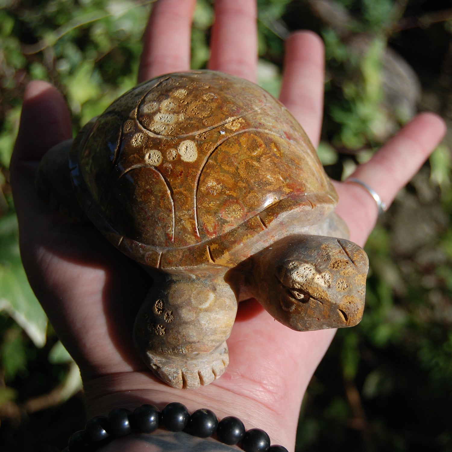 Master Carved Fossil Coral Crystal Turtle Realistic