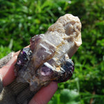 Chiredzi Amethyst Scepter Crystal Zimbabwe