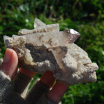Chiredzi Amethyst Scepter Crystal Cluster
