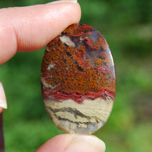 Load image into Gallery viewer, Plume Agate Garden Agate Cabochon
