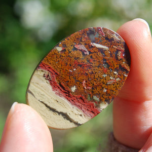 Plume Agate Garden Agate Cabochon