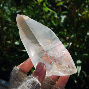 Grounding Scarlet Temple Dreamsicle Lemurian Seed Crystal Starbrary from Brazil