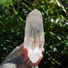 Load image into Gallery viewer, Grounding Scarlet Temple Dreamsicle Lemurian Seed Crystal Starbrary from Brazil
