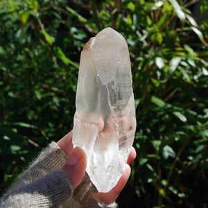 Grounding Scarlet Temple Dreamsicle Lemurian Seed Crystal Starbrary from Brazil
