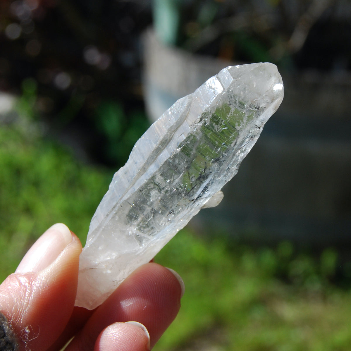 Kullu Quartz Crystal Himalayan Black Rutile Chlorite Elestial Kullu Valley India