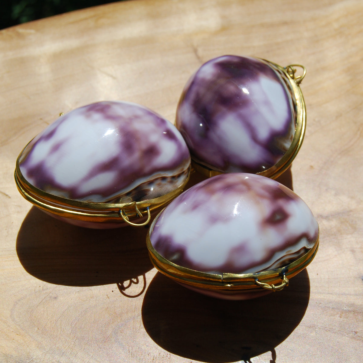 Purple Top Tiger Cowrie Shell Coin Purse Pill Box Cypraea tigris Cowry Seashell