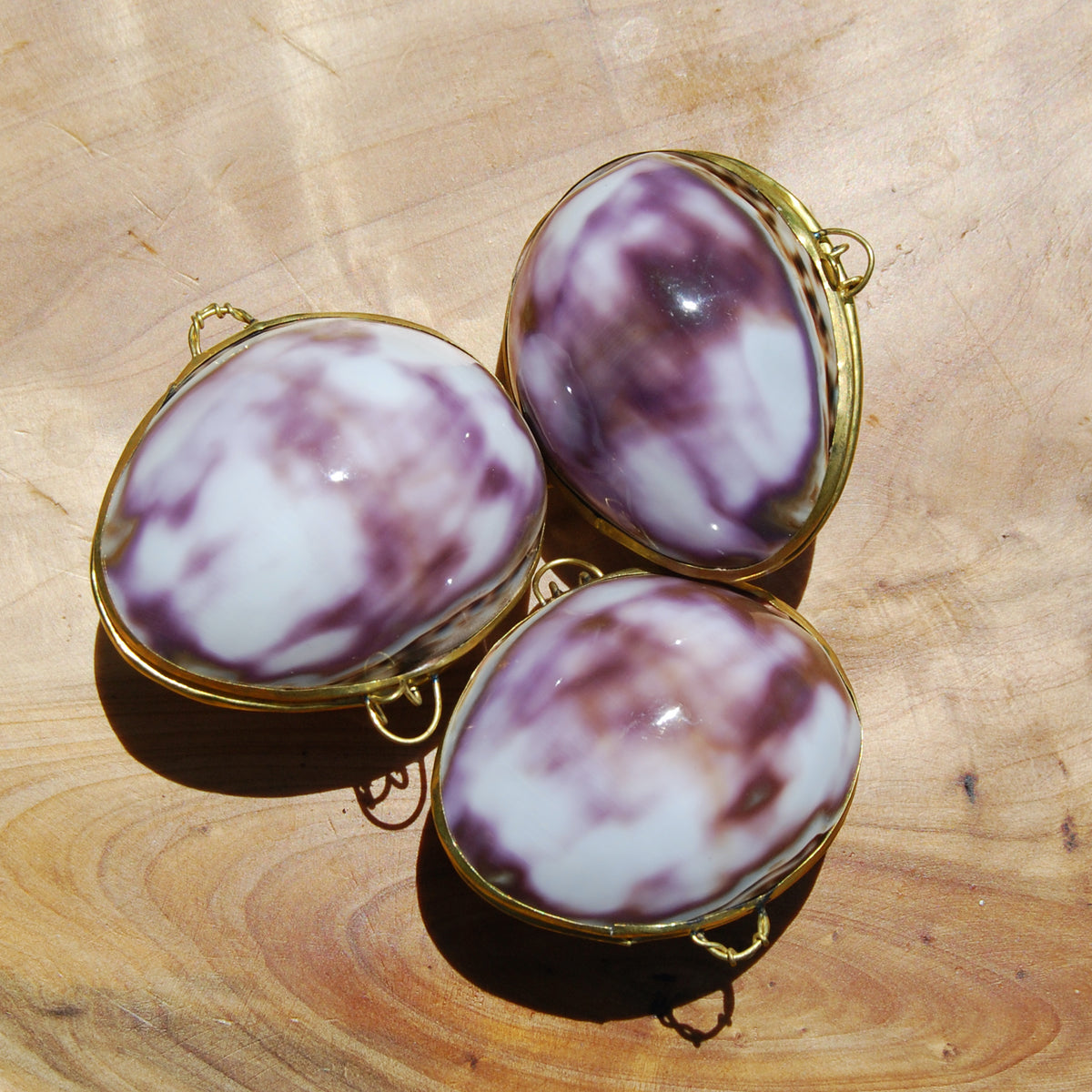 Purple Top Tiger Cowrie Shell Coin Purse Pill Box Cypraea tigris Cowry Seashell