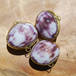 Purple Top Tiger Cowrie Shell Coin Purse Pill Box Cypraea tigris Cowry Seashell