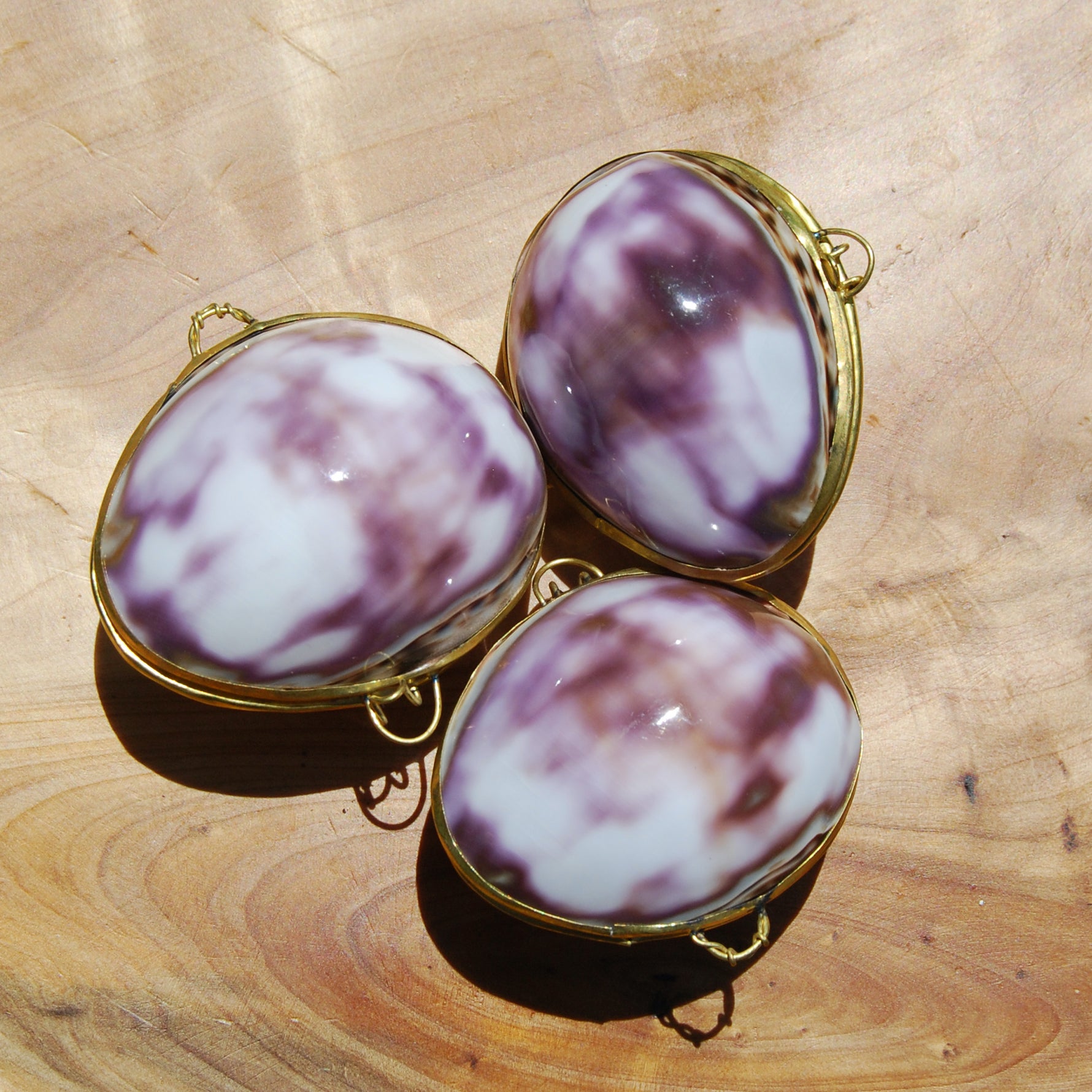 Purple Top Tiger Cowrie Shell Coin Purse Pill Box Cypraea tigris Cowry Seashell