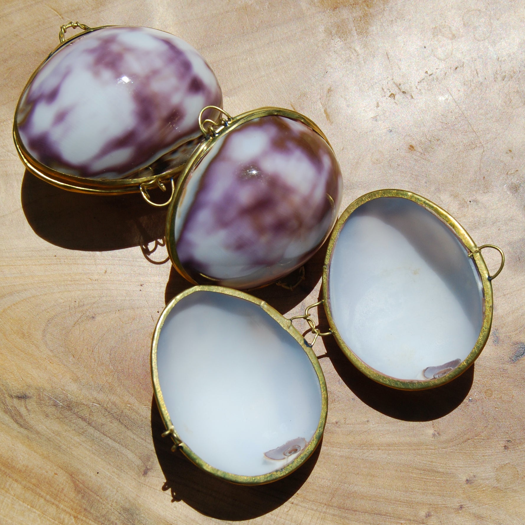 Purple Top Tiger Cowrie Shell Coin Purse Pill Box Cypraea tigris Cowry Seashell