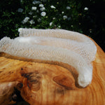 Venus's Flower Basket Euplectella aspergillum Glass Sponge
