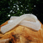 Venus's Flower Basket Euplectella aspergillum Glass Sponge