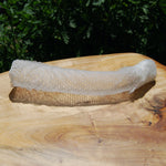 Venus's Flower Basket Euplectella aspergillum Glass Sponge