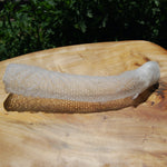 Venus's Flower Basket Euplectella aspergillum Glass Sponge